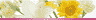 �o�i�[